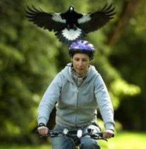 people attacking people