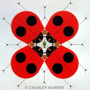 Harper Charley Last Aphid